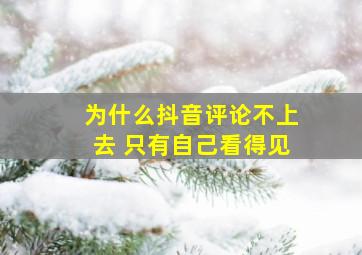 为什么抖音评论不上去 只有自己看得见